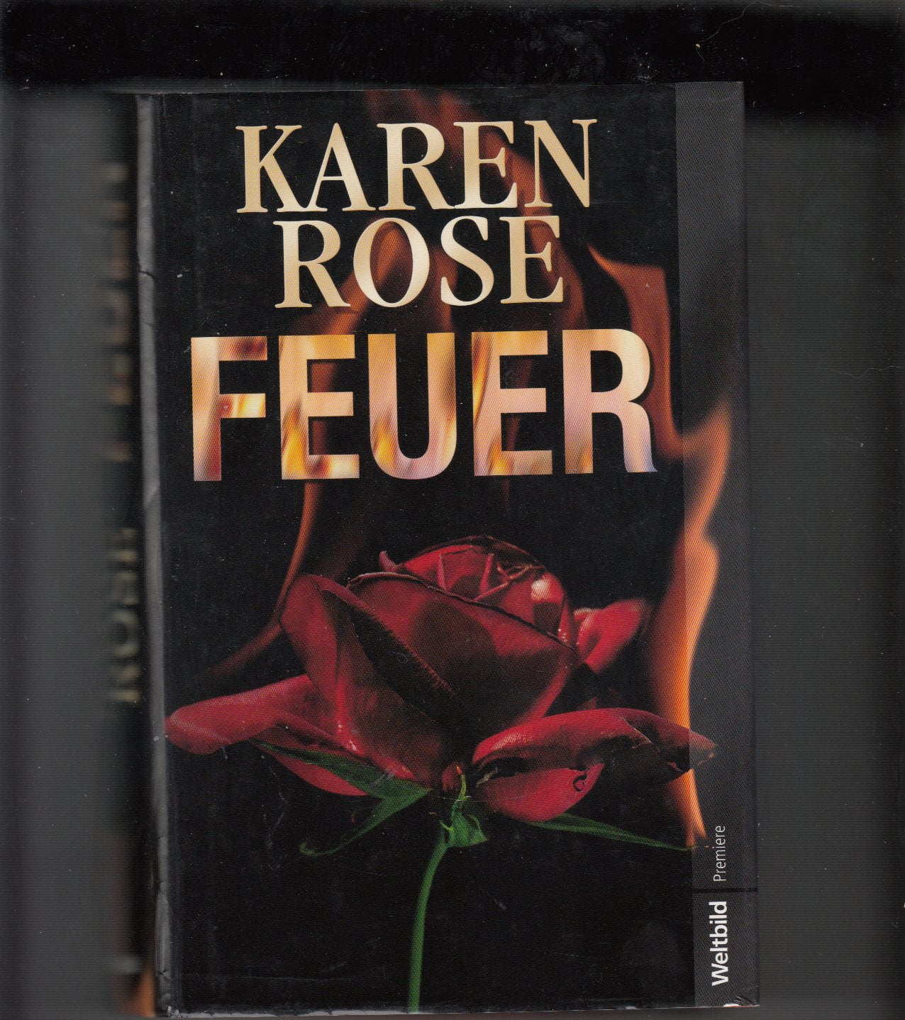 Feuer Contemporary literature