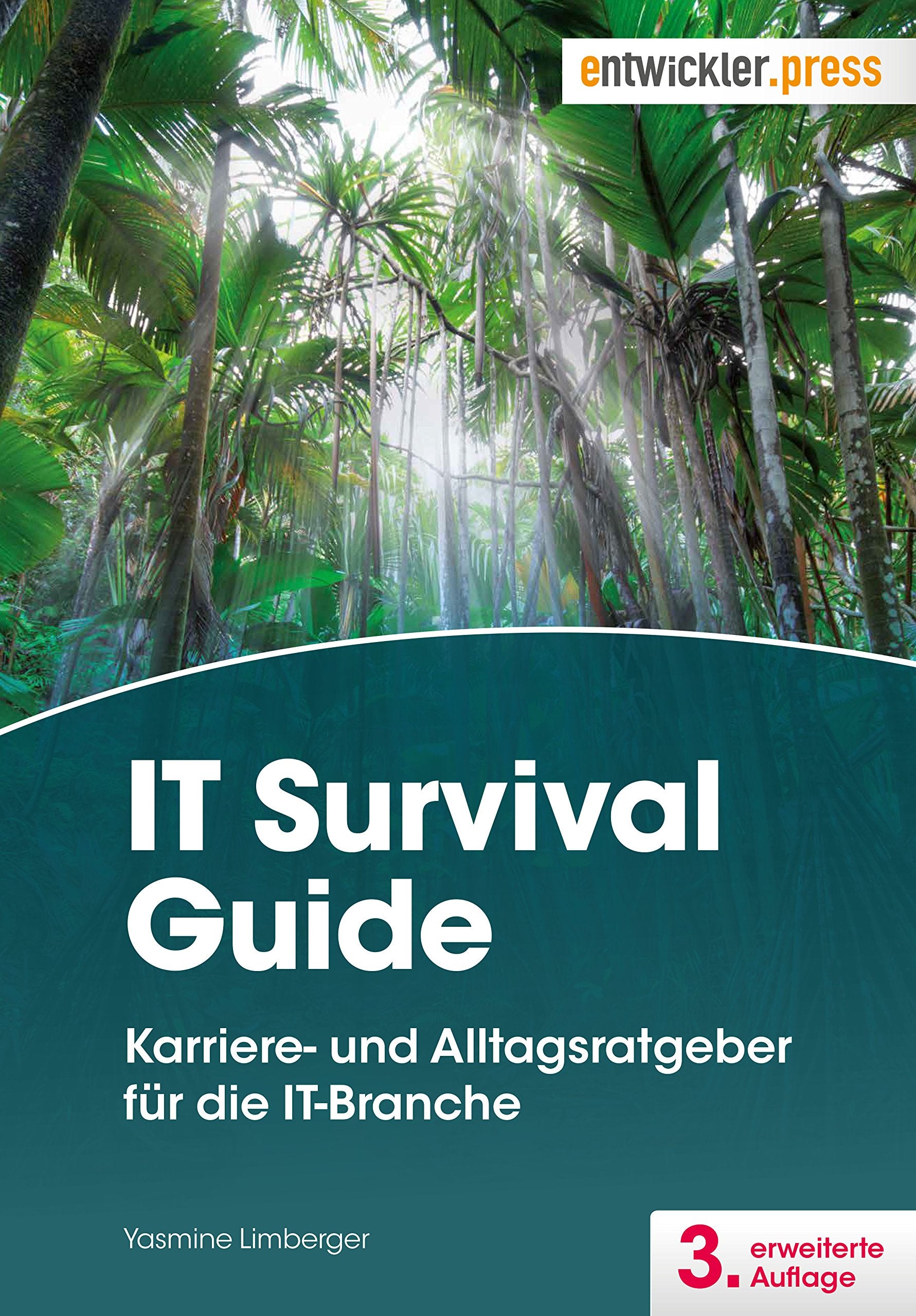 IT Survival Guide Business, Finance & Career