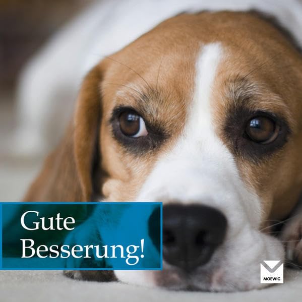 Gute Besserung!: Geschenke für Menschen, die einem am Herzen liegen Living & Furnishing