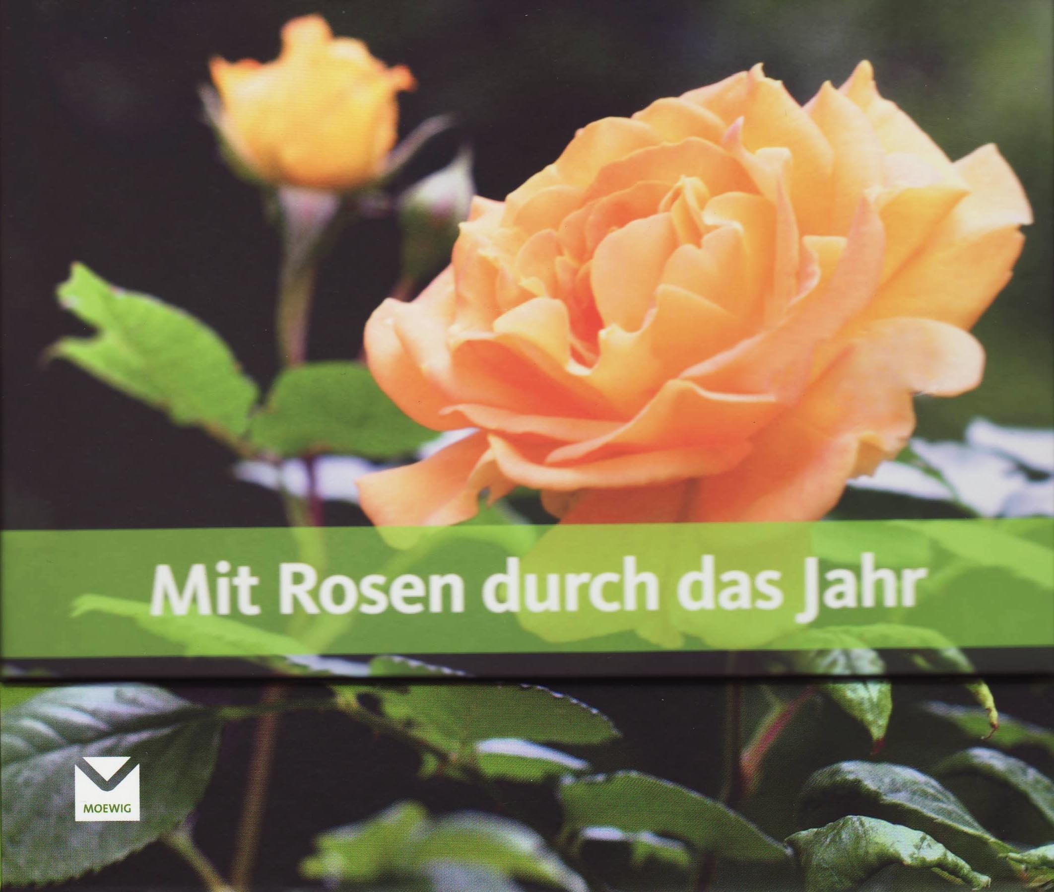 Product Image: Mit Rosen durch das Jahr: Aufklappbuch
