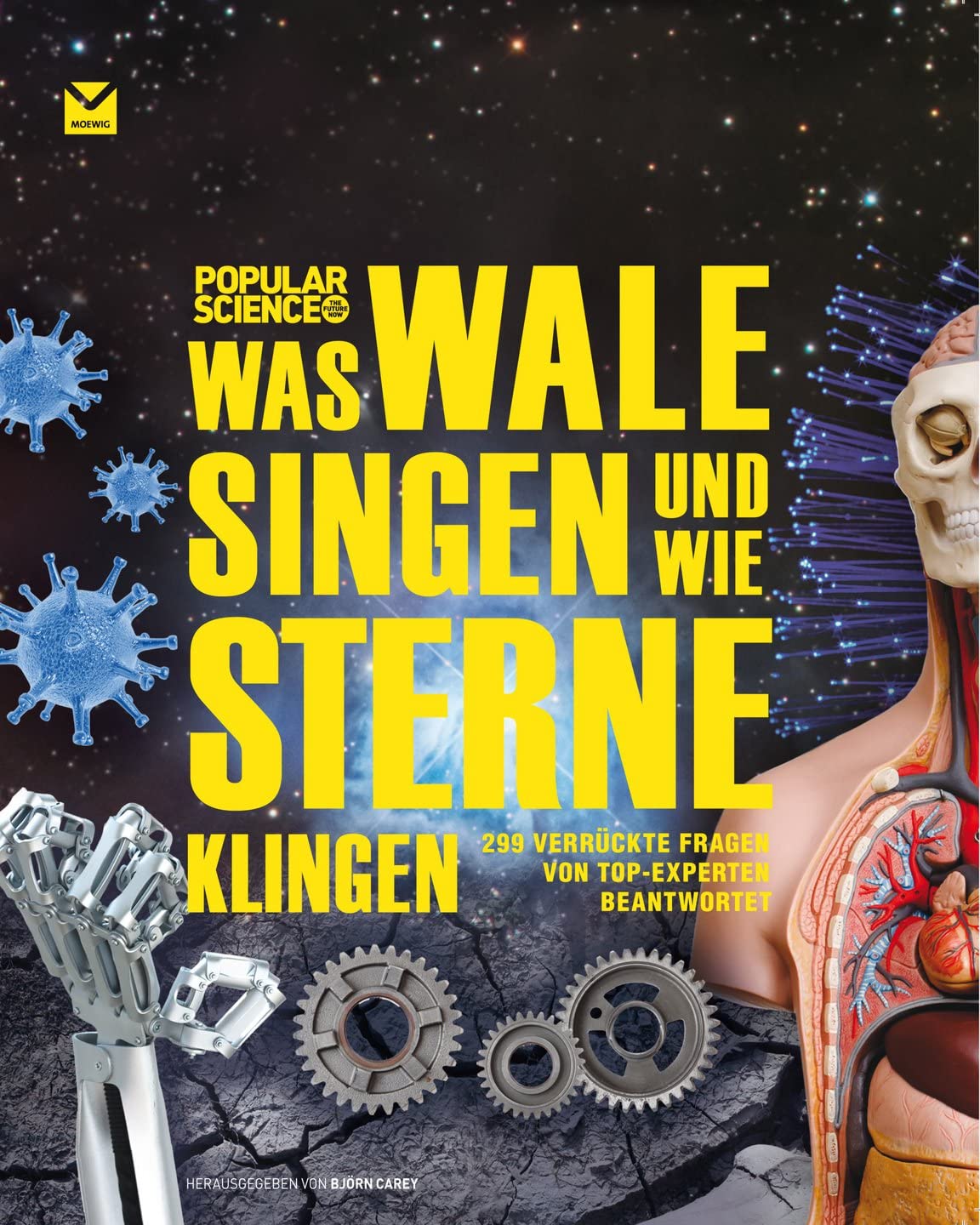 Was Wale singen und wie Sterne klingen Leisure, Home & Garden
