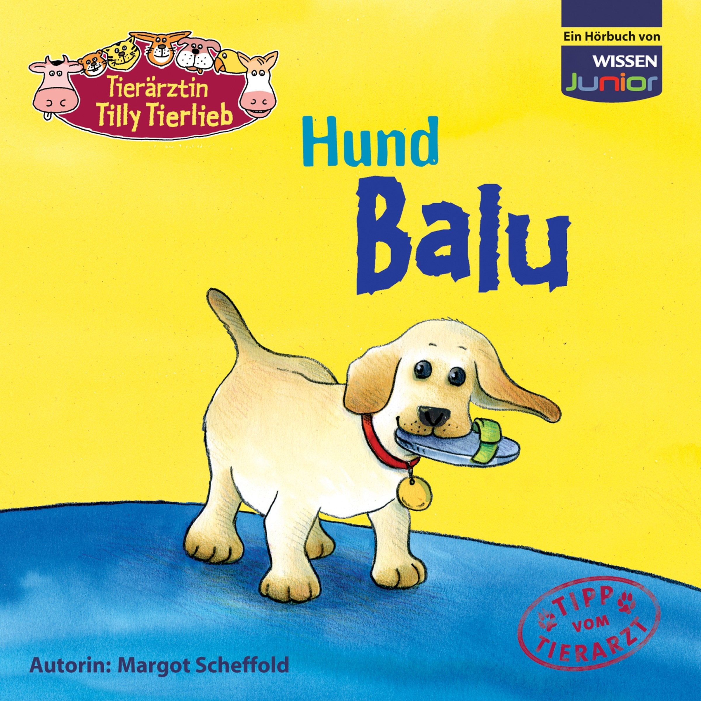 Tierärztin Tilly Tierlieb - Hund Balu Medicine
