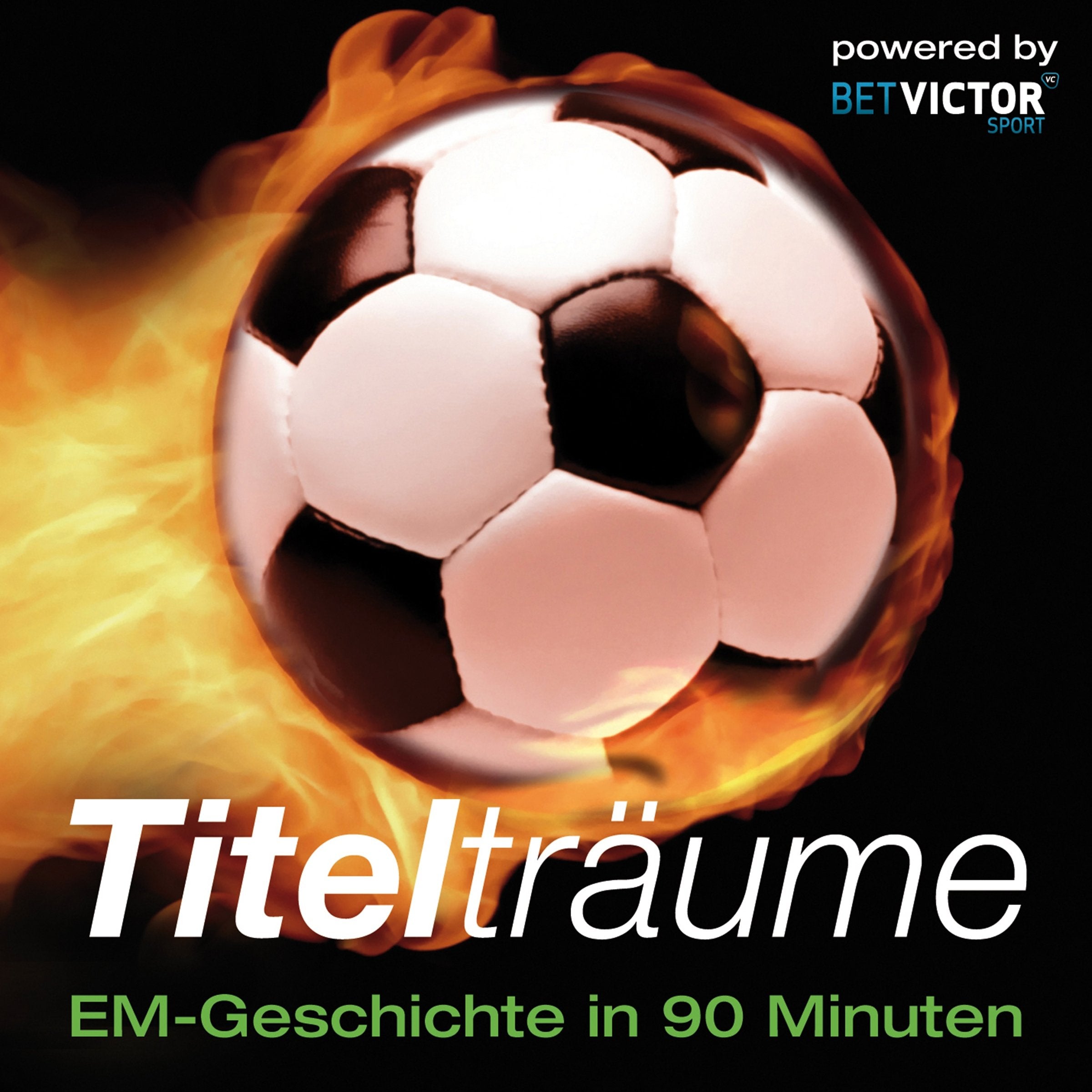Titelträume: EM-Geschichte Politics & History books