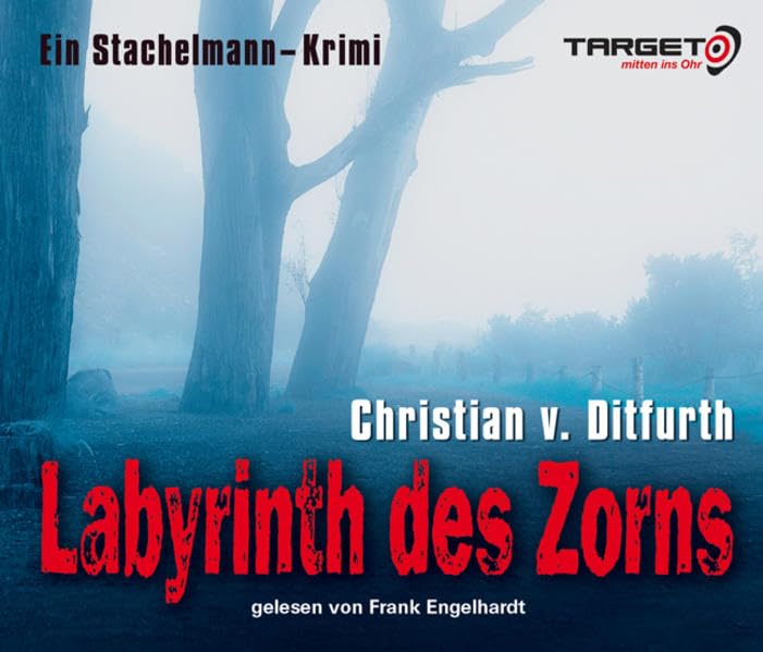 Labyrinth des Zorns, 6 CDs (TARGET - mitten ins Ohr) Contemporary literature