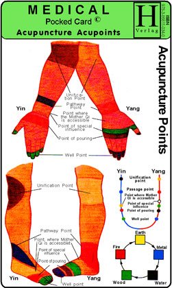Acupuncture - Acupoints /Medical Pocket Card Medicine
