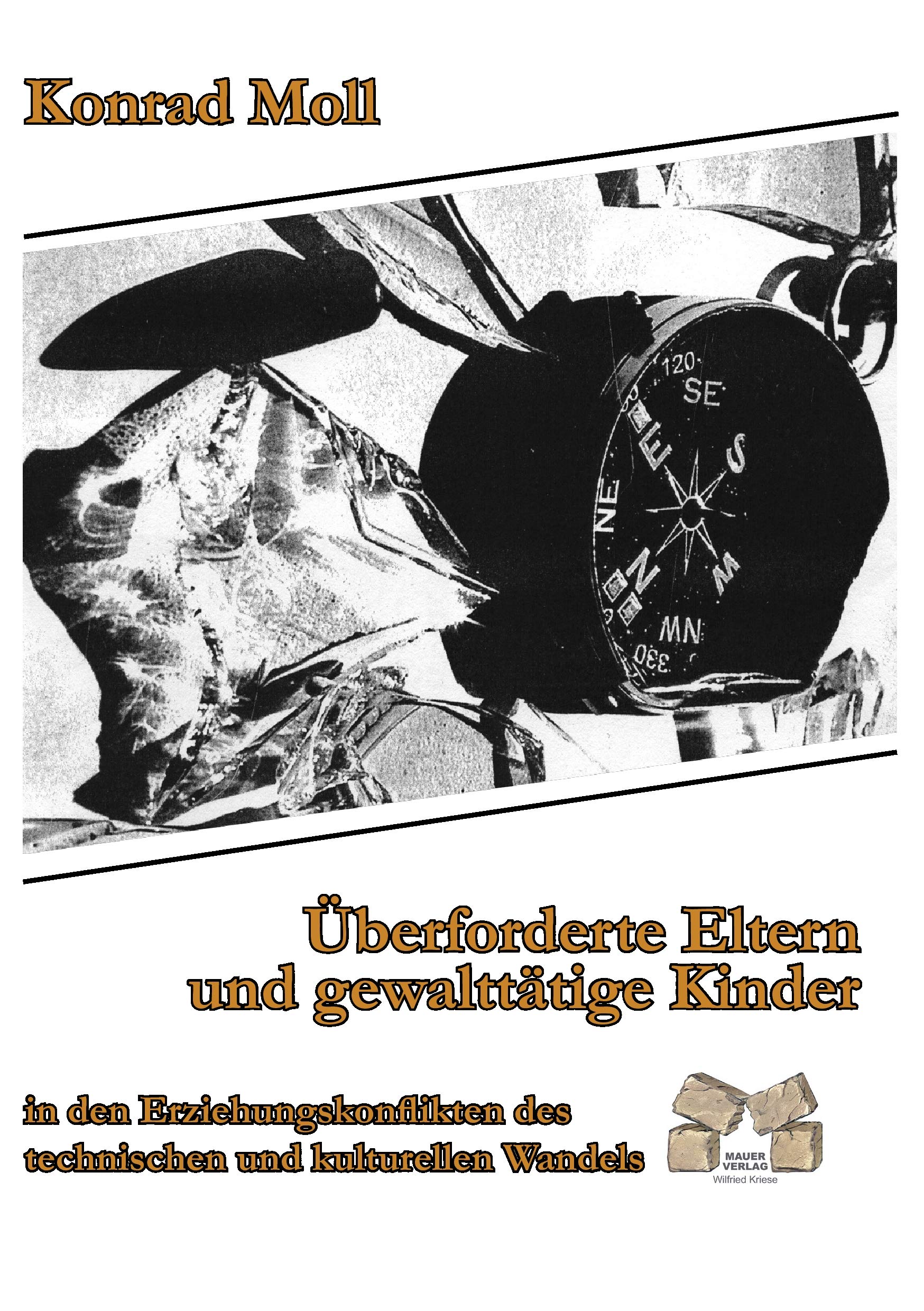 Überforderte Eltern und gewalttätige Kinder Politics & History