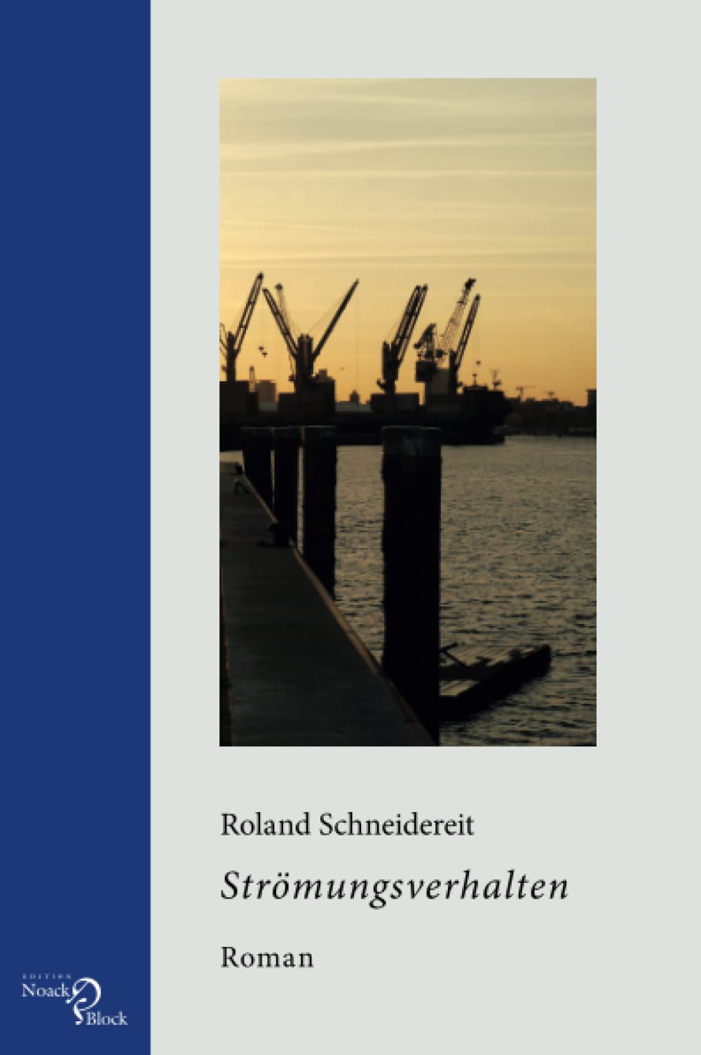 Strömungsverhalten: Roman Contemporary literature