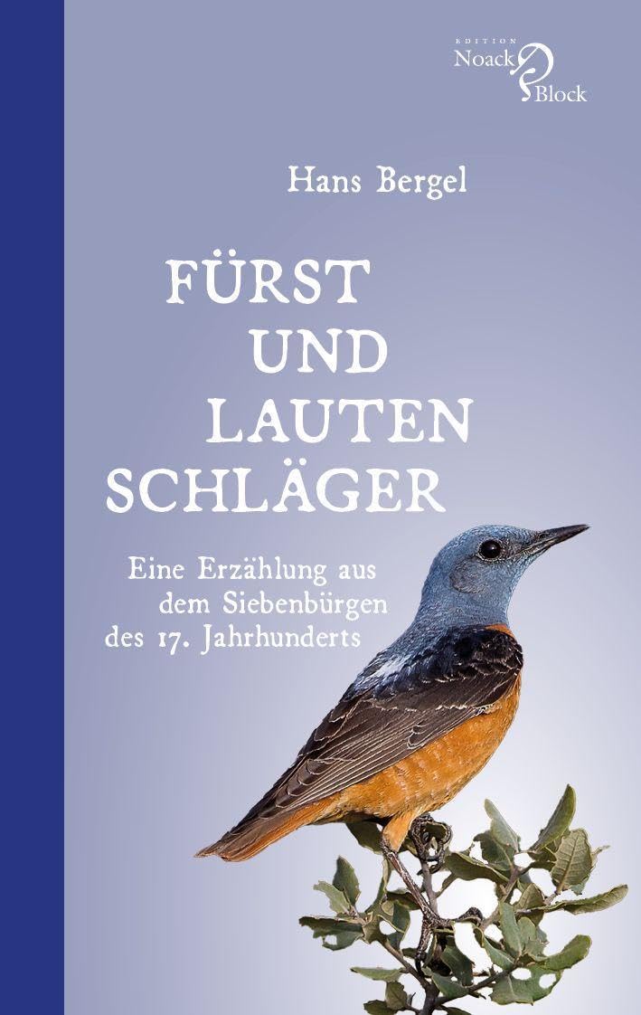 Fürst und Lautenschläger Contemporary literature Books