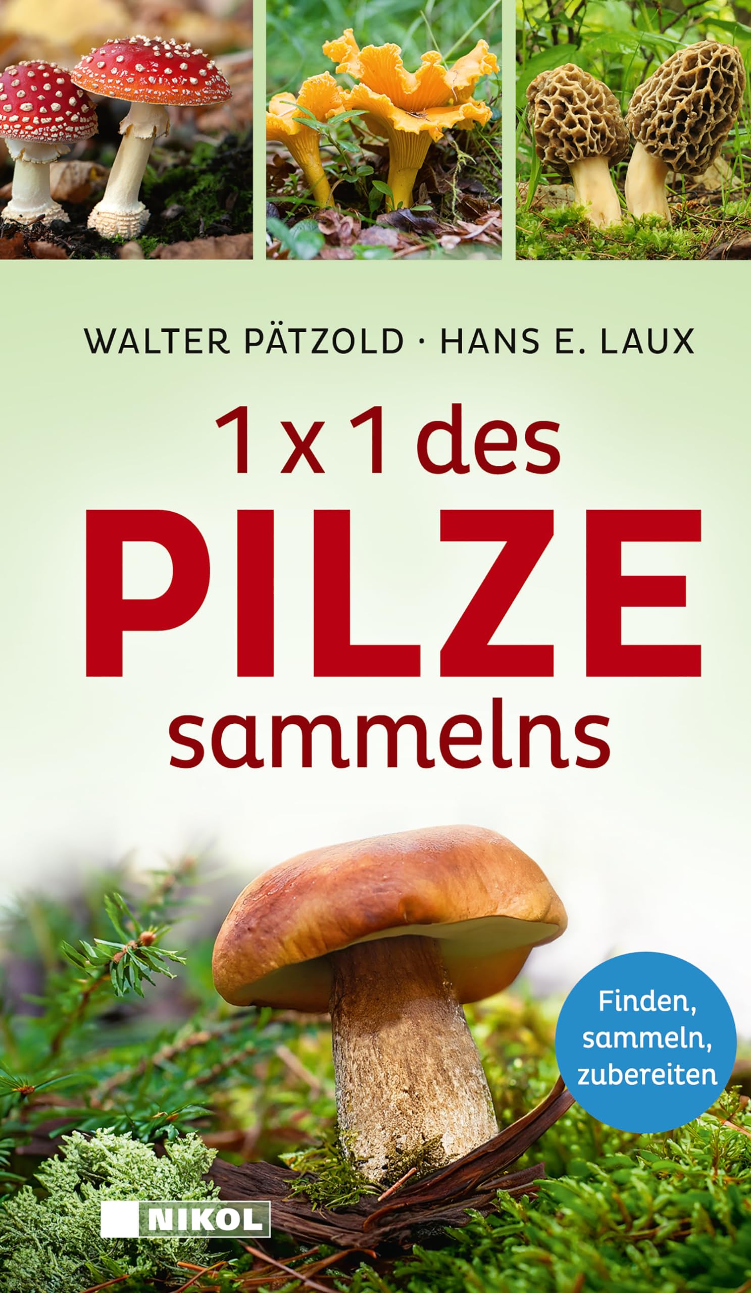 1 x 1 des Pilzesammelns Garden & Plants