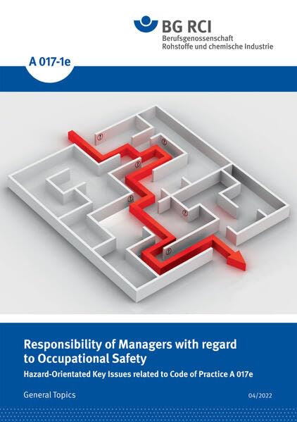 A 017-1e Responsibility of Managers with regard to Occupational Safety: Hazard-Orientated Key Issues related to Code of Practice A017e (A-Reihe - Allgemeine Themen) book