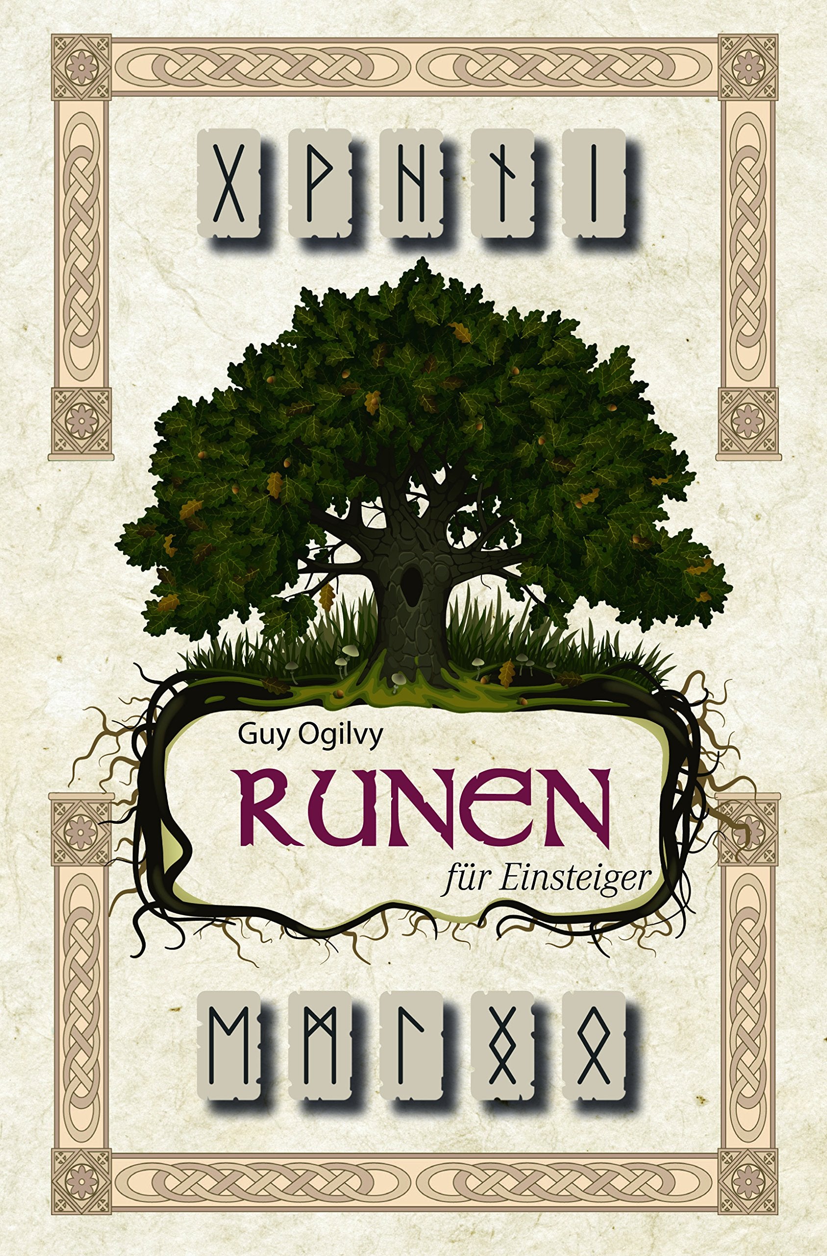 Runen für Einsteiger Second hand books on Religion & Esotericism