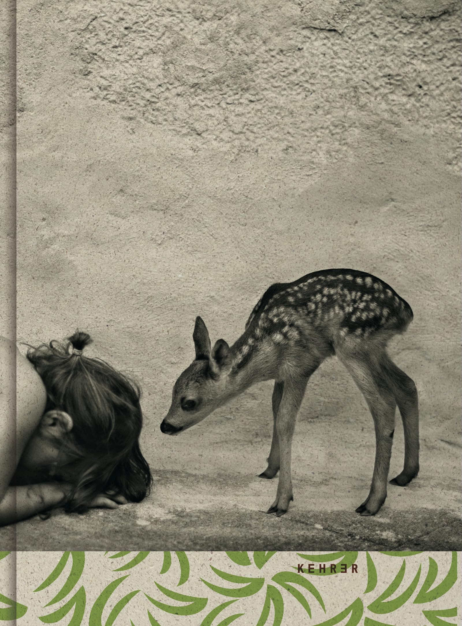 Alain Laboile: Summer of the Fawn Photography