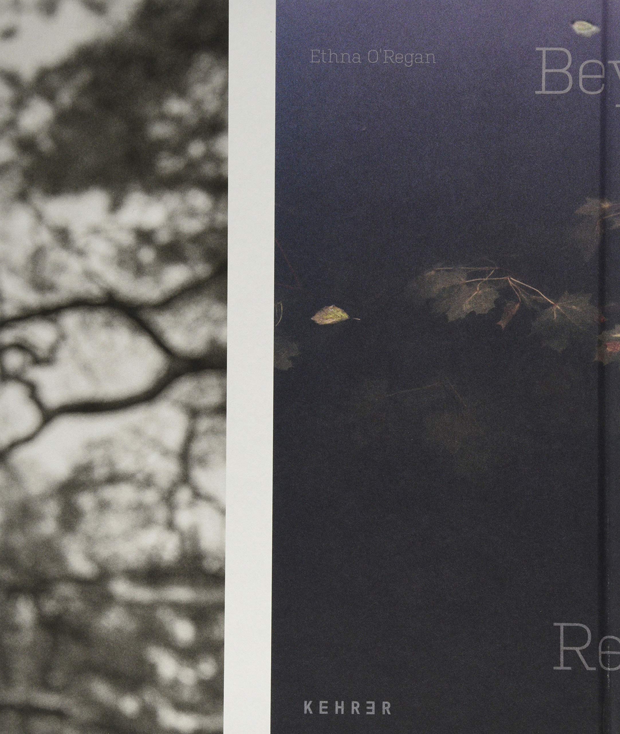 Ethna O’Regan: Beyond Reach Travel