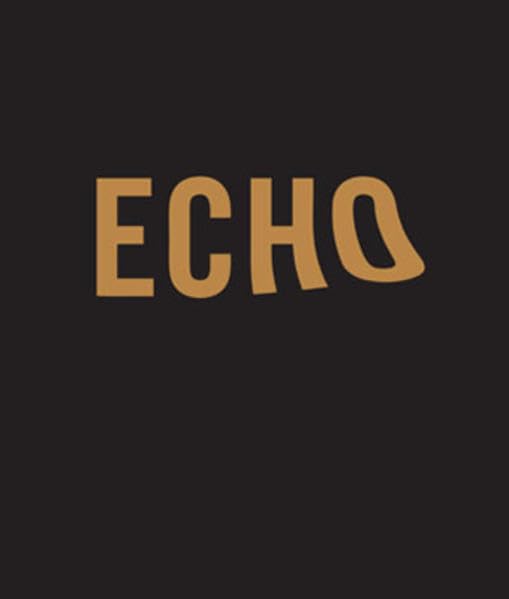 ECHORAUM: Hrsg.: Kunst- und Ausstellungshalle der Bundesrepublik Deutschland Film, Art & Culture