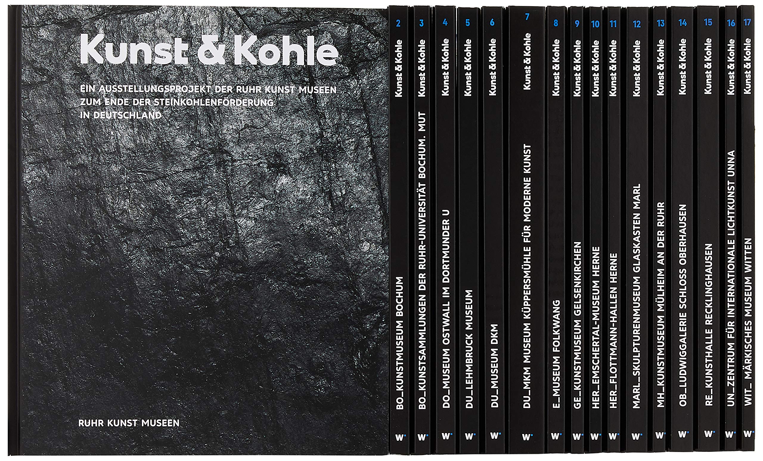 Kunst & Kohle. 40 Kunstprojekte in 17 RuhrKunstMuseen: 17 Bände im Schuber Film, Art & Culture