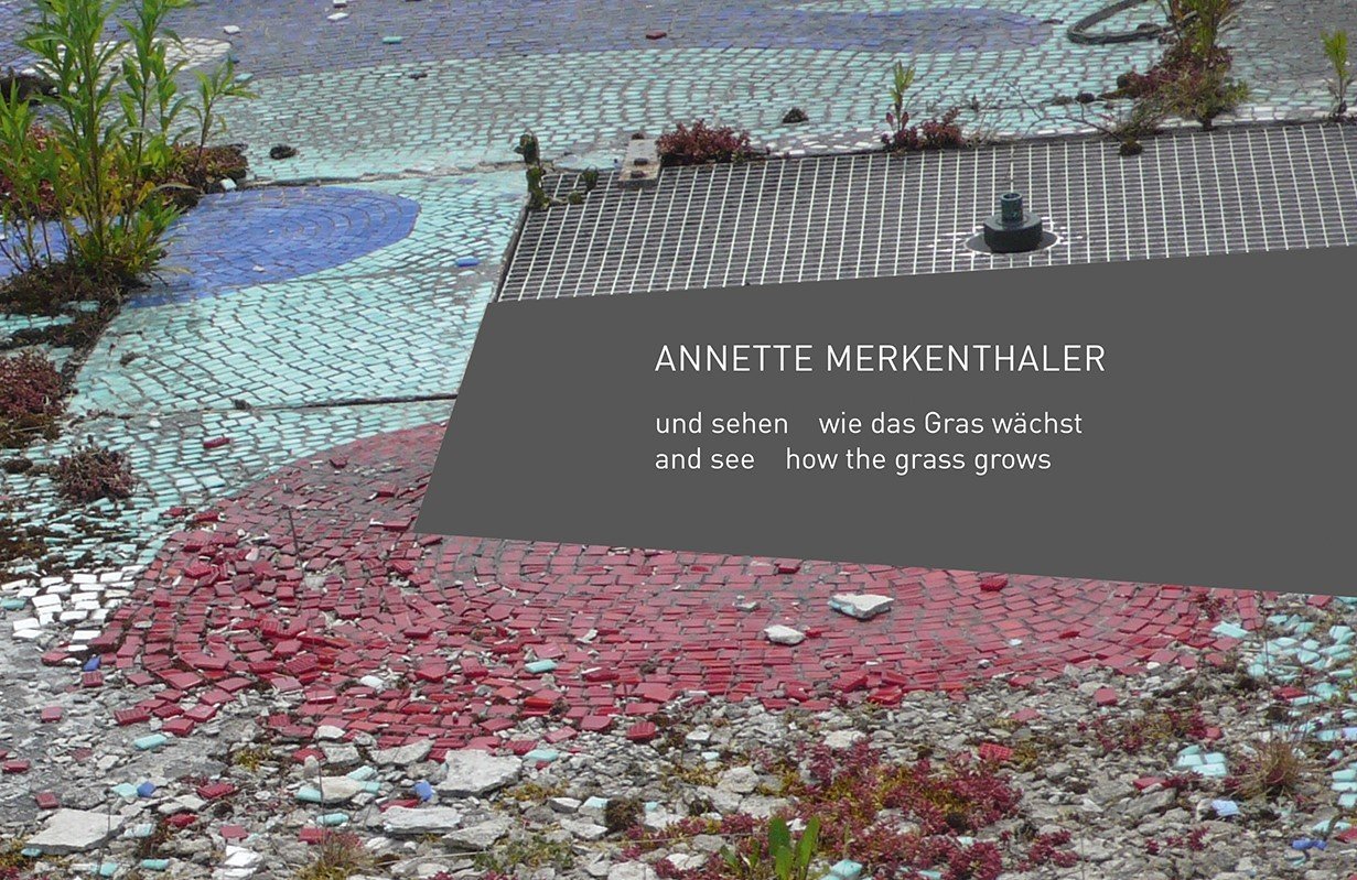 Annette Merkenthaler: und sehen wie das Gras wächst Photography
