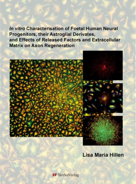 In vitro Characterisation of Foetal Human Neural Progenitors, their Astroglial Derivates,and Effects of Released Factors and Extracellular Matrix on Axon Regeneration Medicine