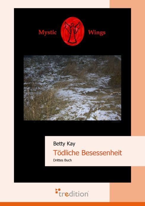 Mystic Wings - Tödliche Besessenheit: Drittes Buch Contemporary literature