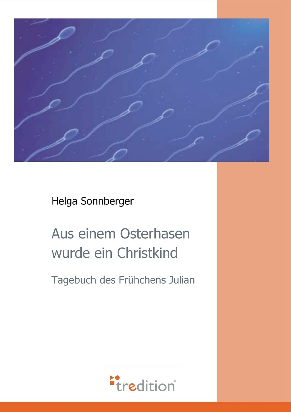 Aus einem Osterhasen wurde ein Christkind: Tagebuch des Frühchens Julian Contemporary literature