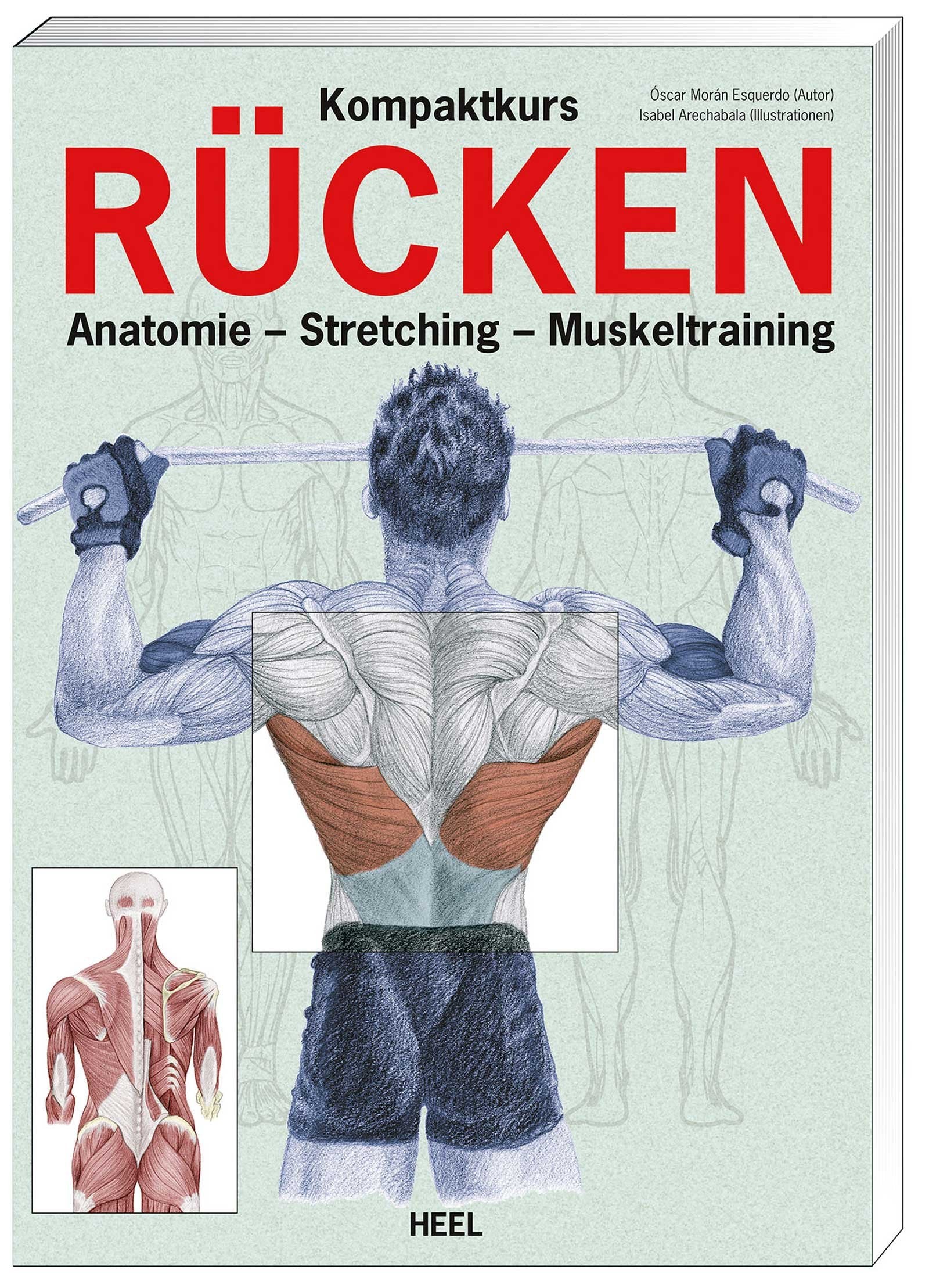 Kompaktkurs Rücken Health, Nutrition & Fitness Books