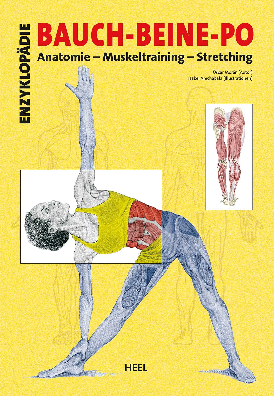 Enzyklopädie Bauch - Beine - Po: Anatomie - Muskeltraining - Stretching Health, Nutrition & Fitness