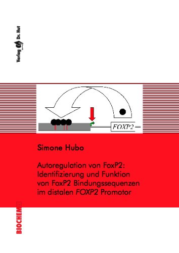 Autoregulation von FoxP2: Identifizierung und Funktion von FoxP2 Bindungssequenzen im distalen FOXP2 Promotor Natural Sciences