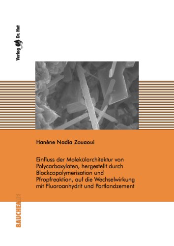 Einfluss der Molekülarchitektur von Polycarboxylaten, hergestellt durch Blockcopolymerisation und Pfropfreaktion, auf die Wechselwirkung mit Fluoroanhydrit und Portlandzement Books