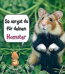 So sorgst du für deinen Hamster Books