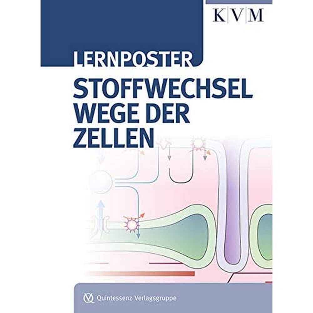 Stoffwechselwege der Zellen (Lernposter) Medicine