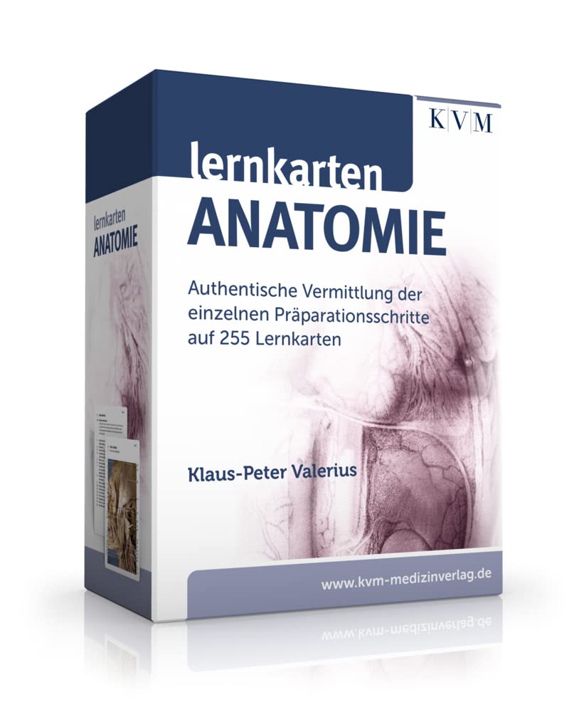 Lernkarten Anatomie Medicine