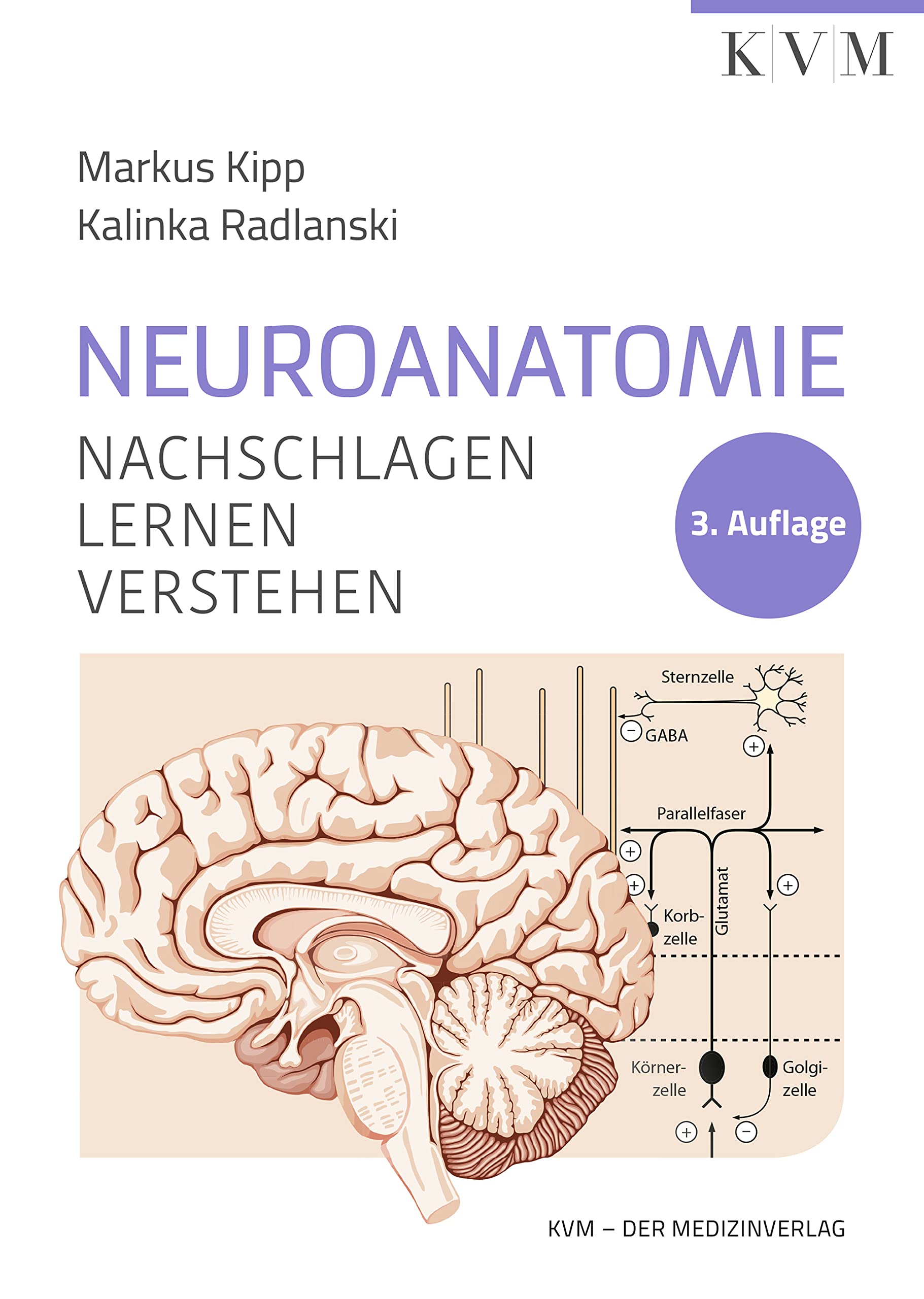 Neuroanatomie Medicine