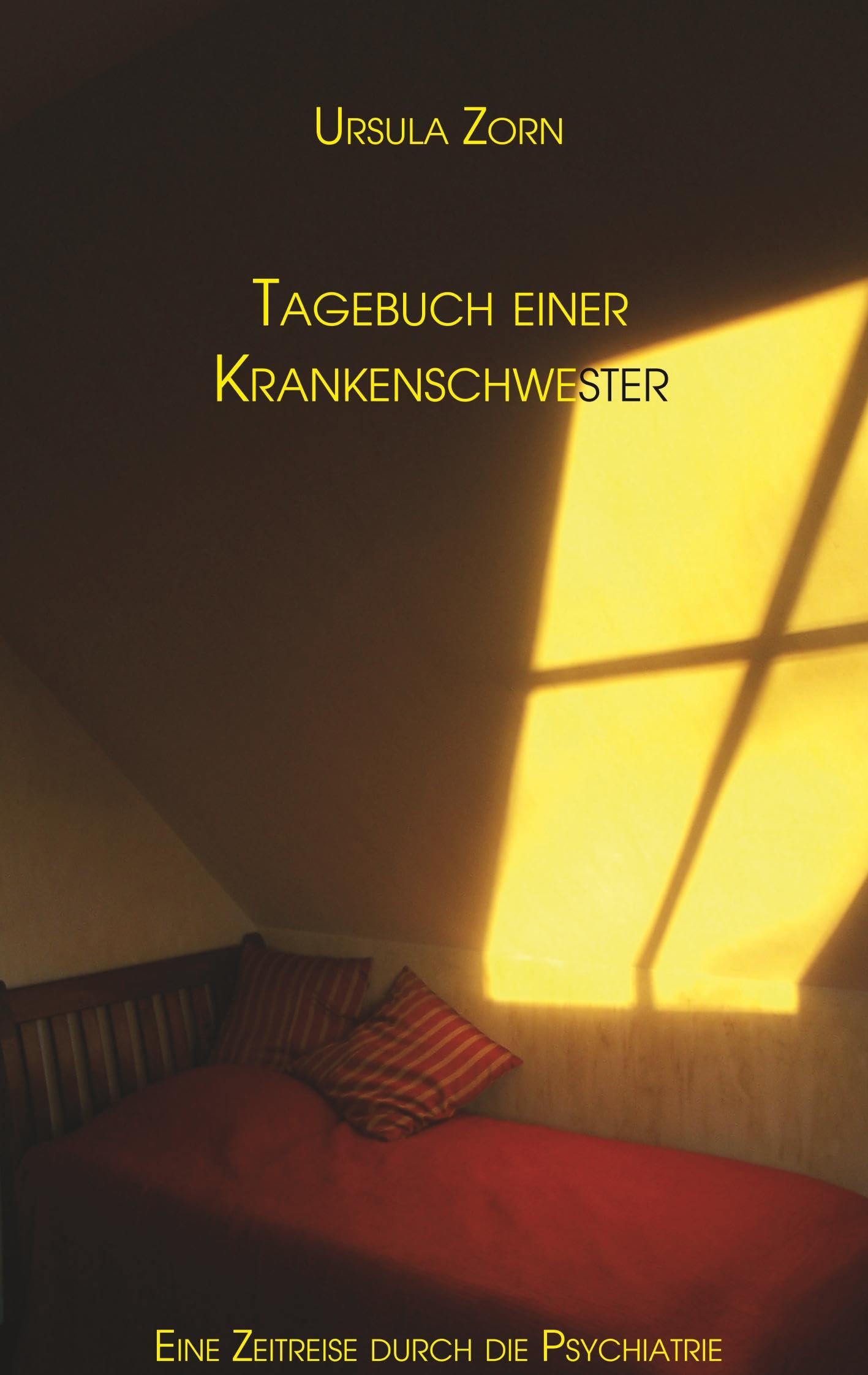 Product Image: Das Tagebuch einer Krankenschwester