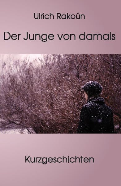 Der Junge von damals - Kurzgeschichten Contemporary literature