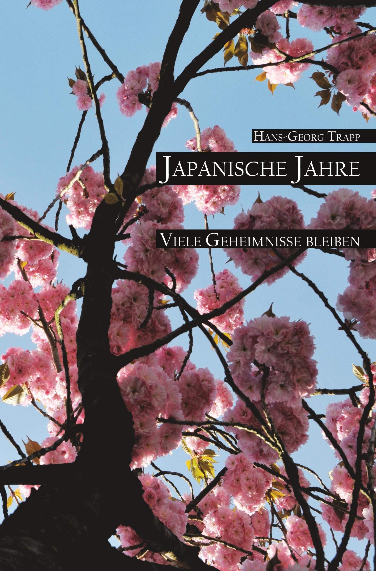 Japanische Jahre - Viele Geheimnisse bleiben Contemporary literature
