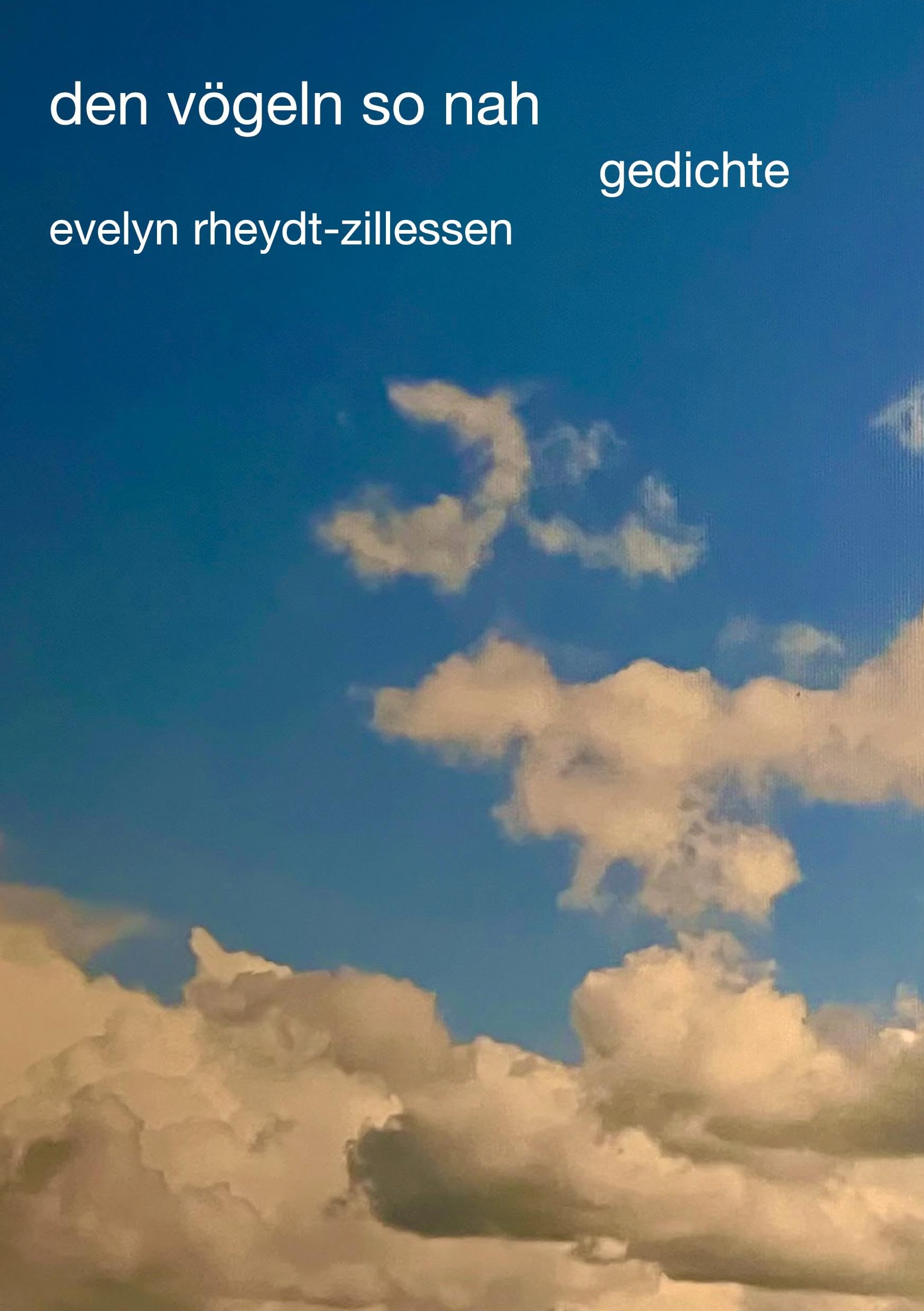 den vögeln so nah Poetry