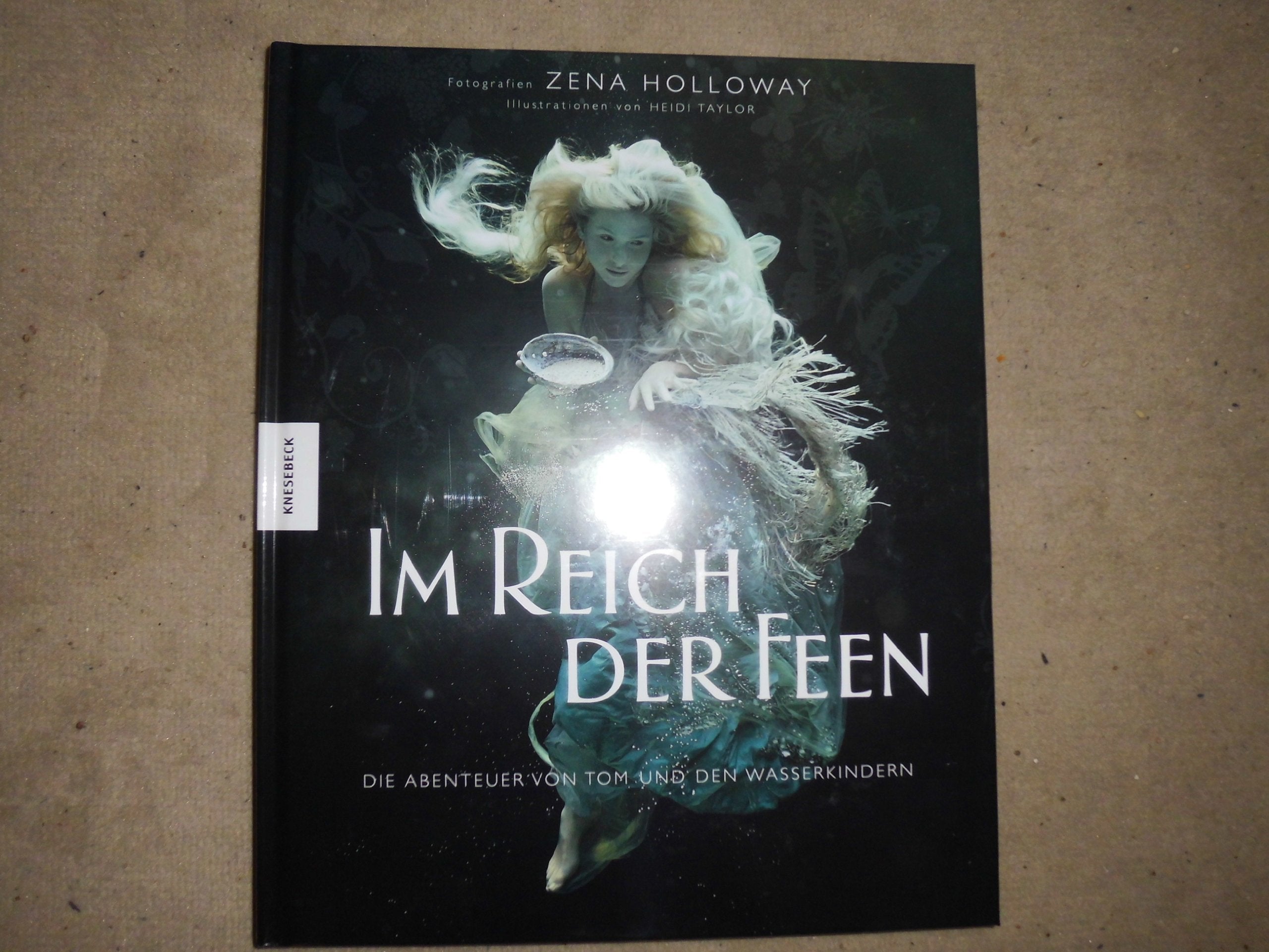 Im Reich der Feen: Die Abenteuer von Tom und den Wasserkindern Historical Fiction