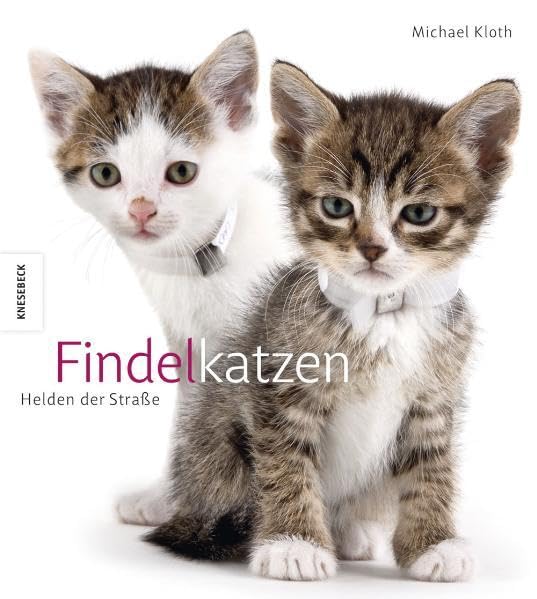 Product Image: Findelkatzen: Helden der Straße