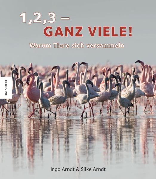 1, 2, 3 – ganz viele!: Warum Tiere sich versammeln Non-fiction