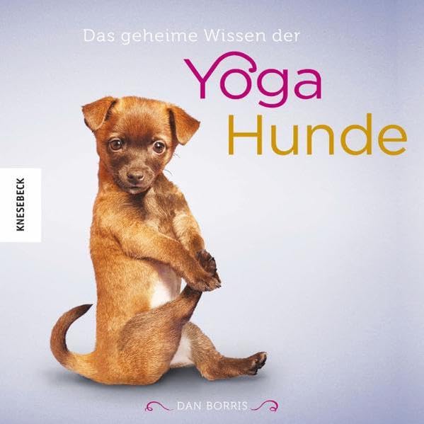 Das geheime Wissen der Yoga-Hunde Living & Furnishing