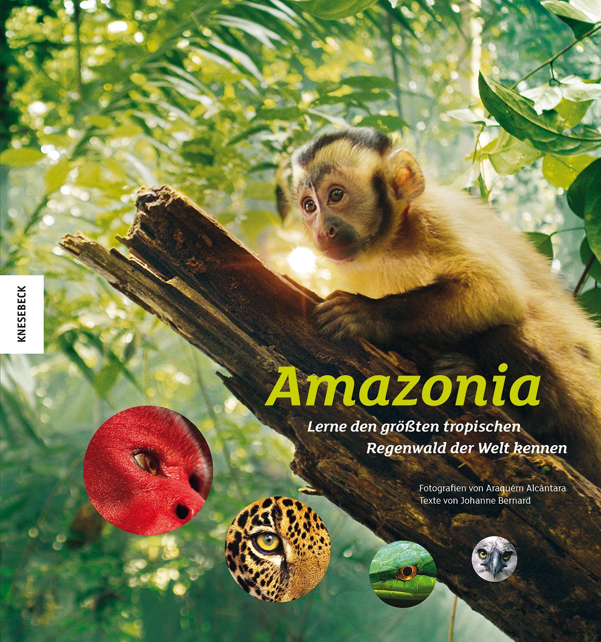 Amazonia book
