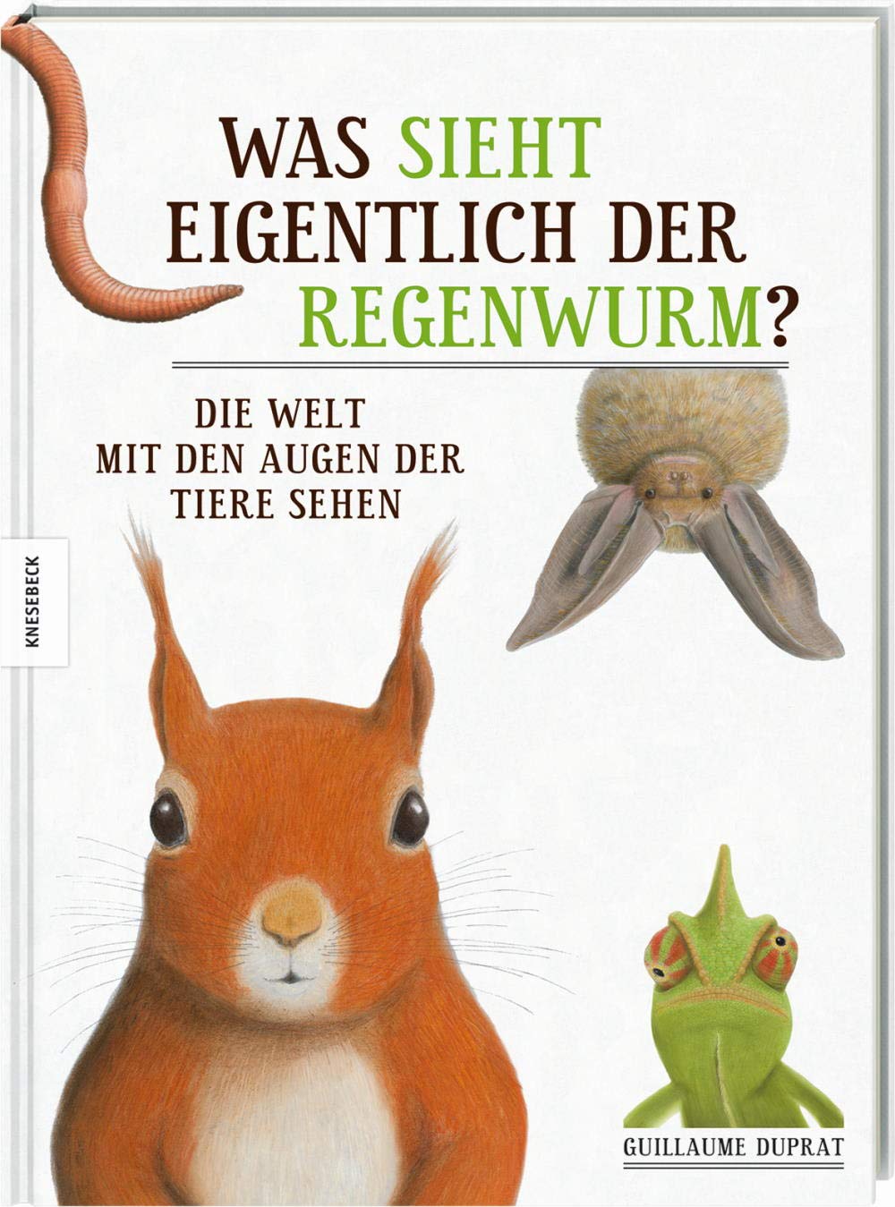 Product Image: Was sieht eigentlich der Regenwurm?