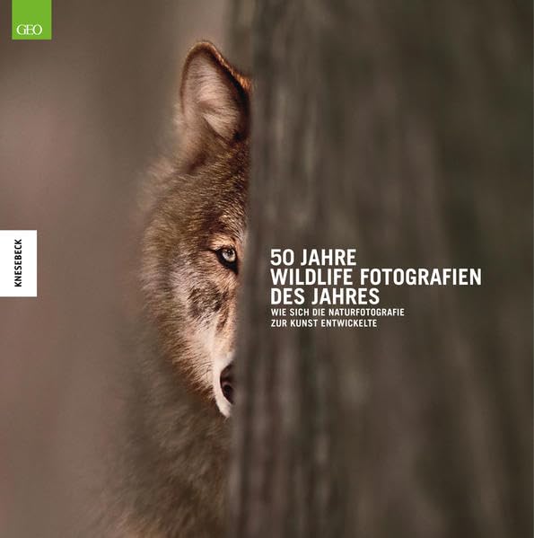 50 Jahre Wildlife Fotografien des Jahres: Wie sich die Naturfotografie zur Kunst entwickelte Photography