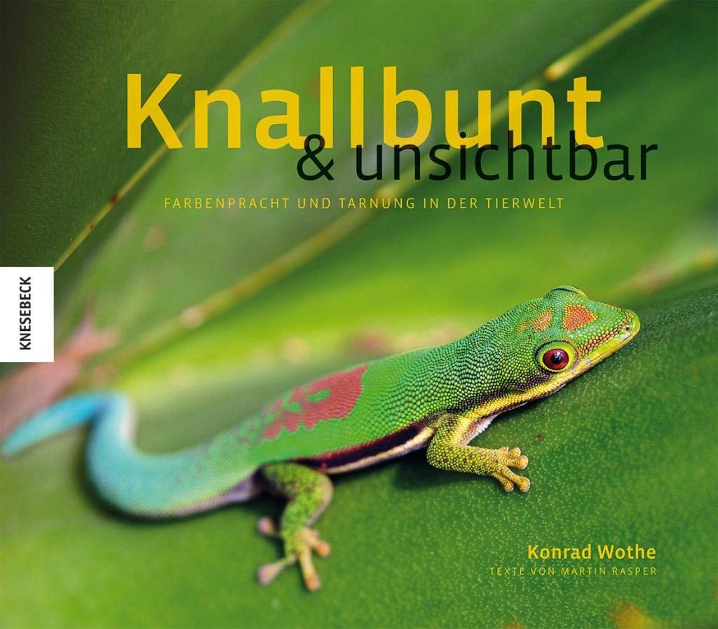 Knallbunt und unsichtbar Architecture Books