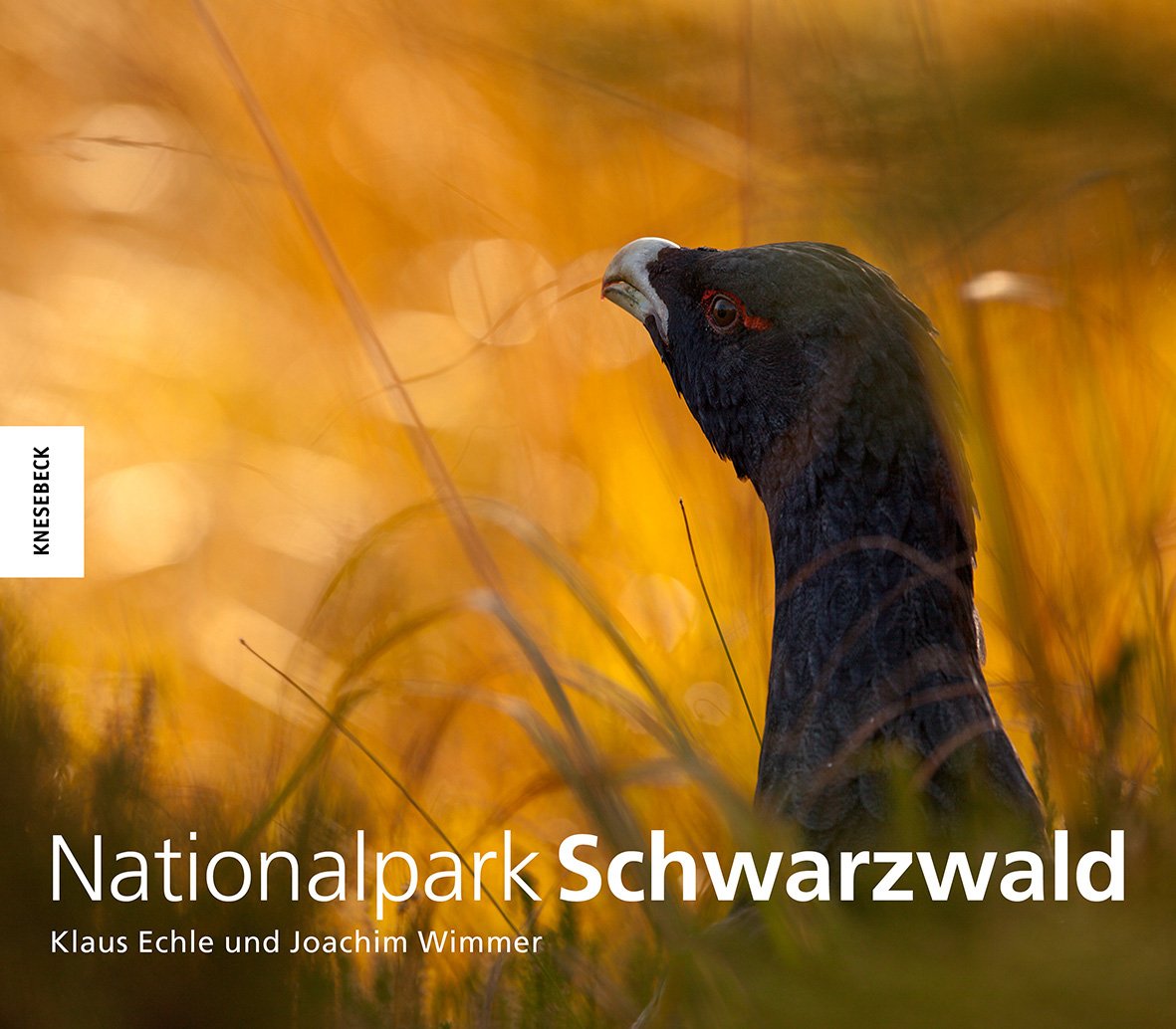 Nationalpark Schwarzwald Photography Books