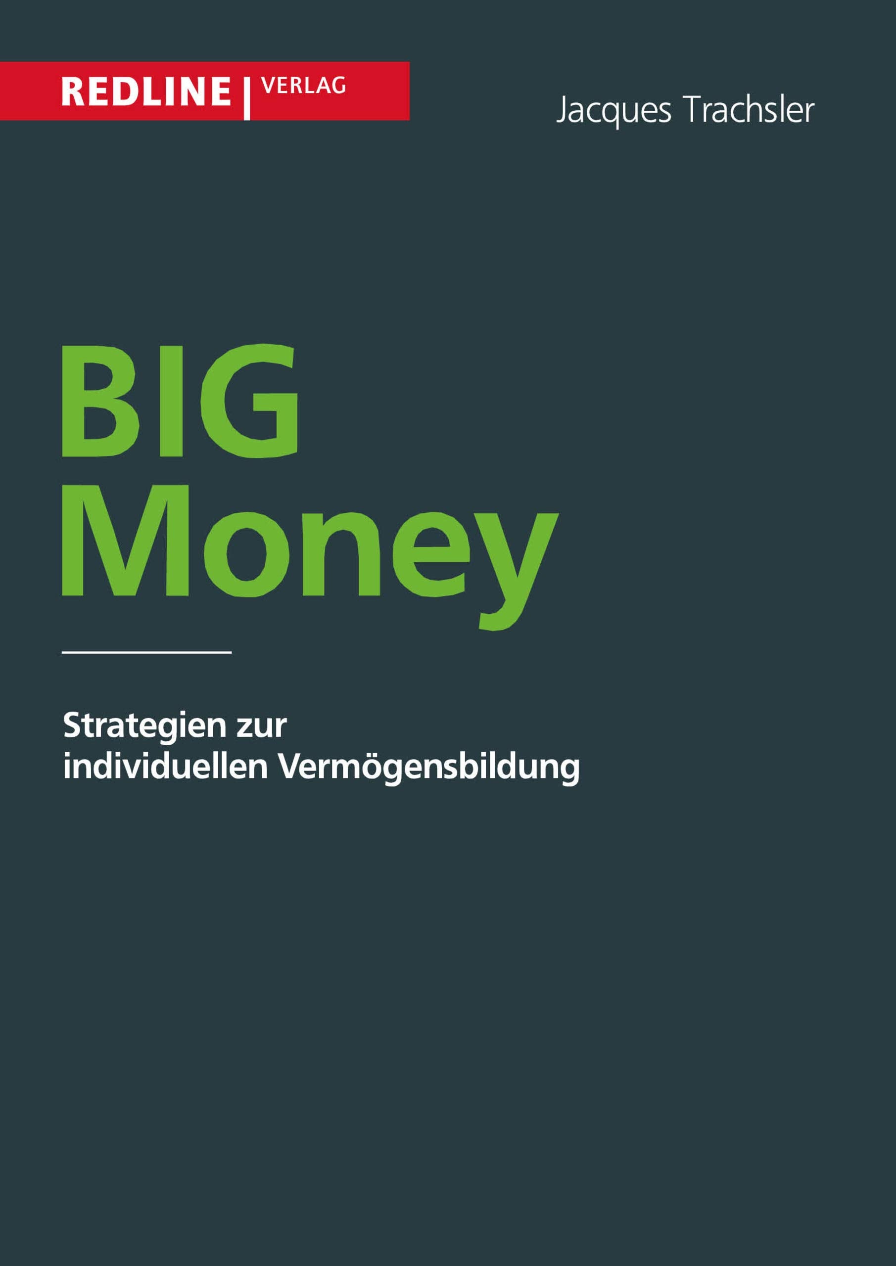 Big Money: Strategien zur individuellen Vermögensbildung Business & Technology