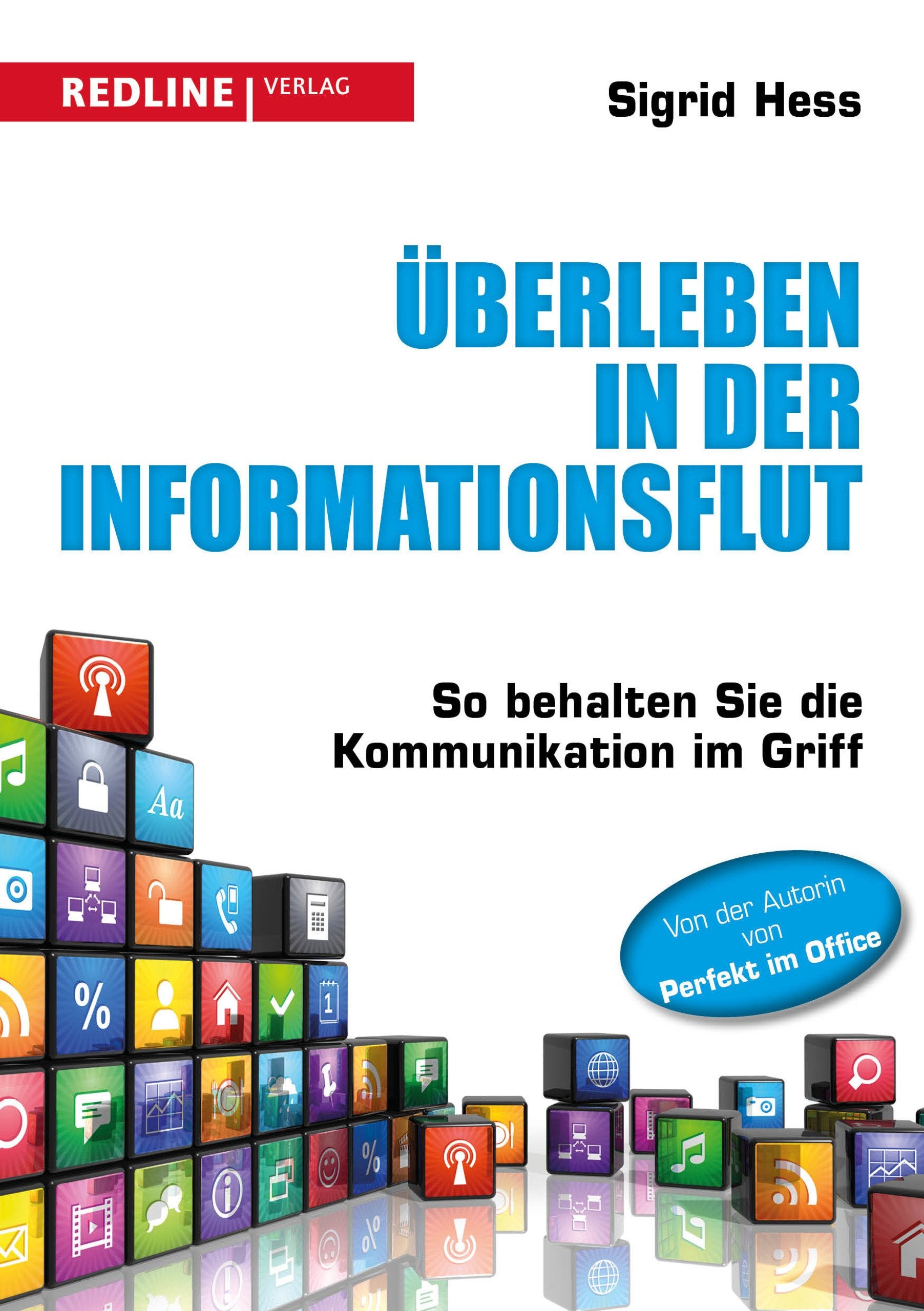 Überleben in der Informationsflut Business, Finance & Career Books