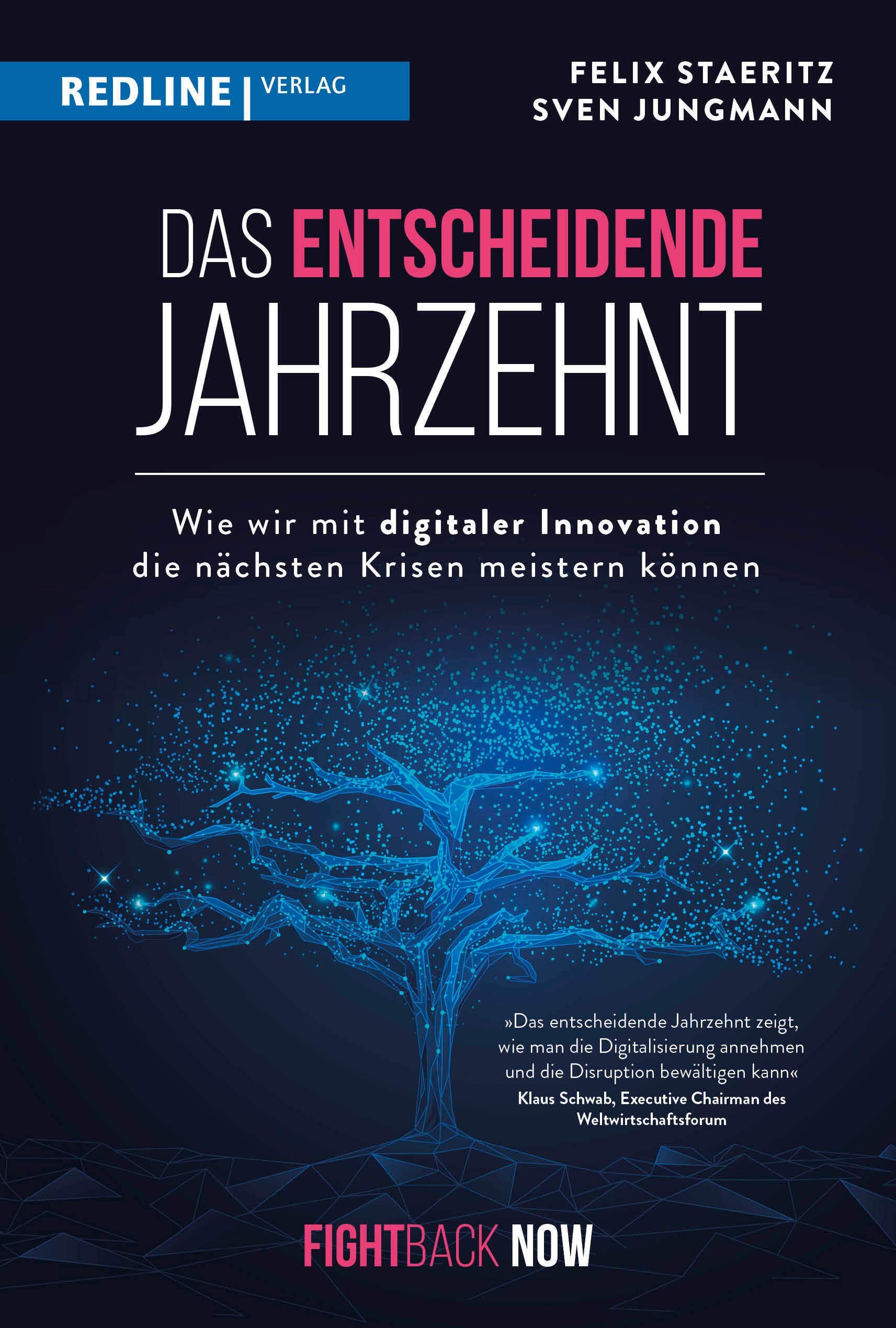 Das entscheidende Jahrzehnt book