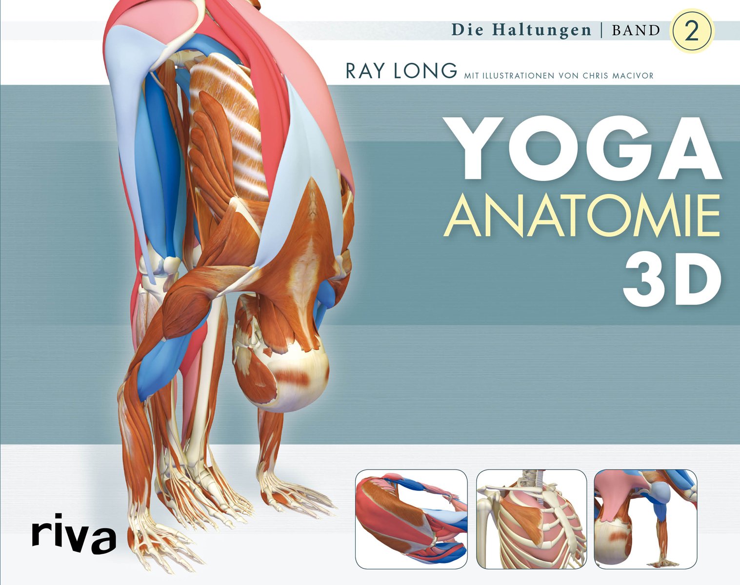 Yoga-Anatomie 3D 02. Die Haltungen Posters