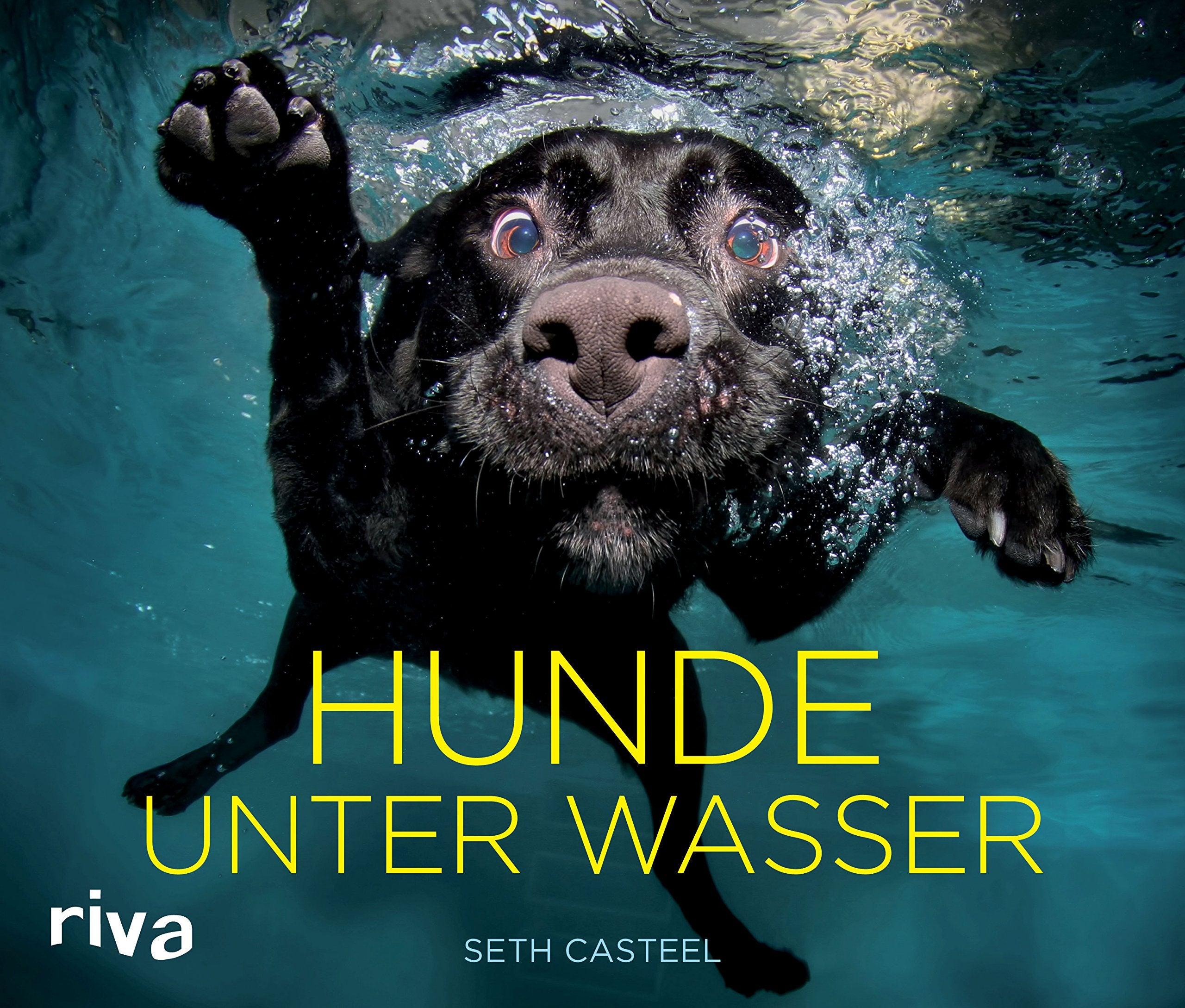Hunde unter Wasser Lifestyle