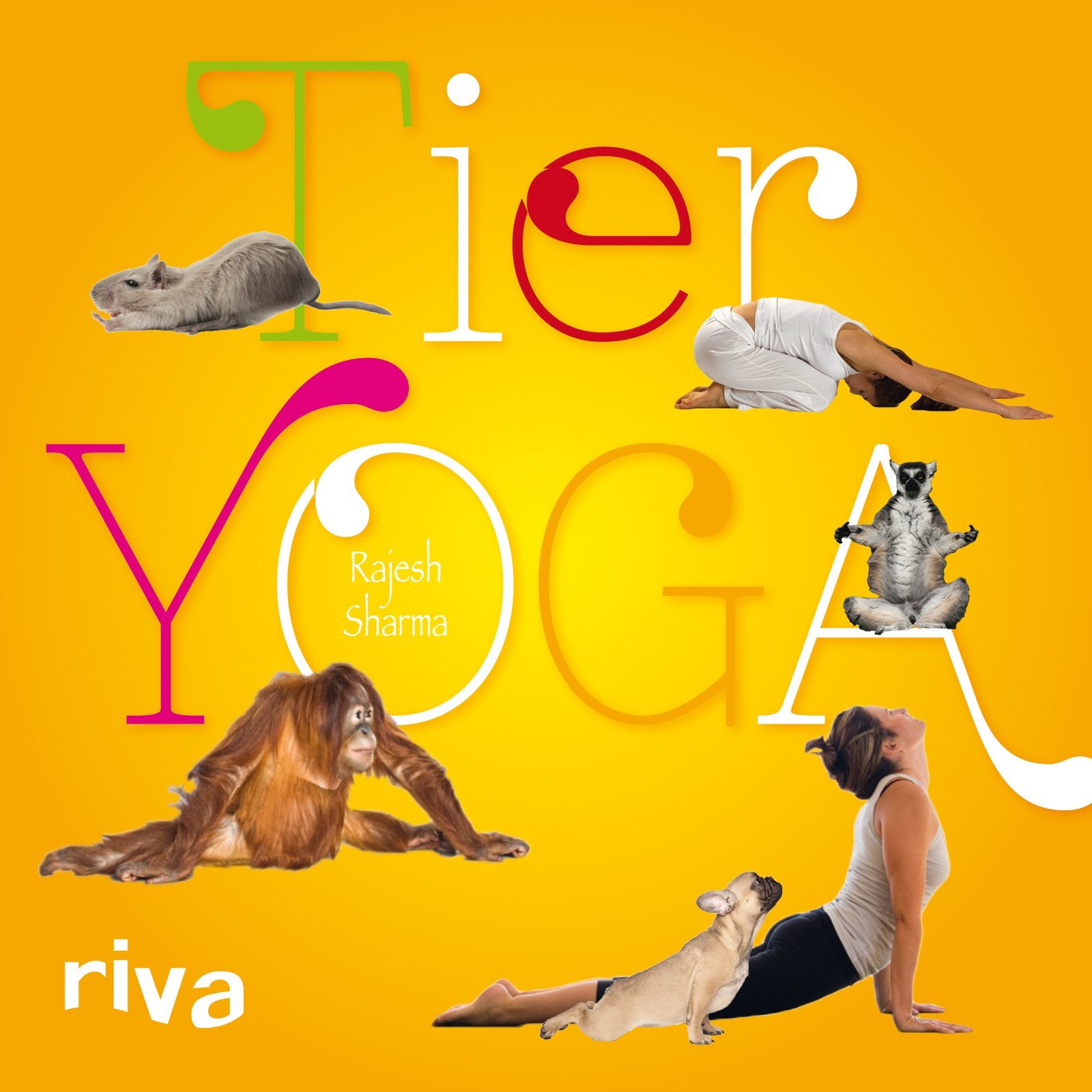 Tieryoga Living & Furnishing